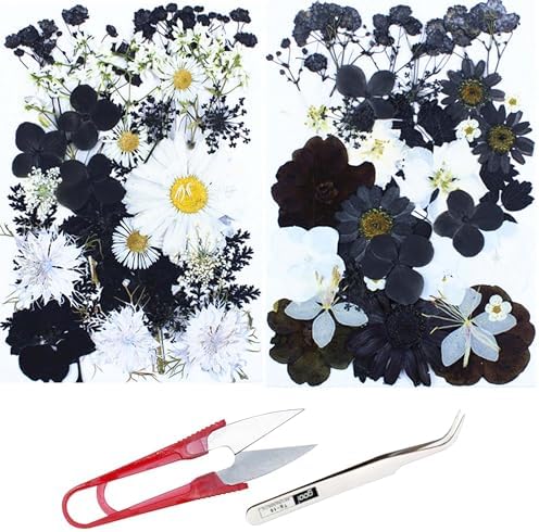 Cayway 2 Pack Dried Pressed Flowers for Resin Molds, Black Real Pressed Flowers Dry Leaves Kit Natural Dried Pressed Leaves for Art Crafts Resin Scrapbook Supplies Soap Candle DIY, Style A
