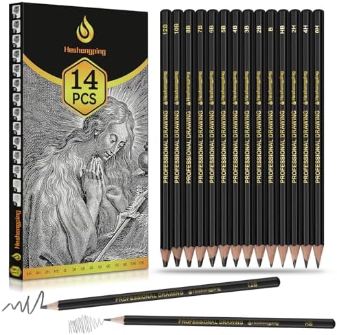 Sketch Pencils Set for Drawing, 14 Pack Graphite, for Art, Pencil kit for Sketching, Shading, Artist Pencils for Beginners Pro Artists