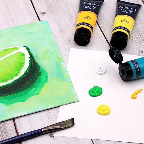 Artecho 20 Colors Acrylic Paint 120ml /4.05oz Tube | Semi Glossy Finish, High Pigment Rich Color Craft Paint for Canvas, Rocks, Wood, Fabric, Ceramic, Non-Toxic