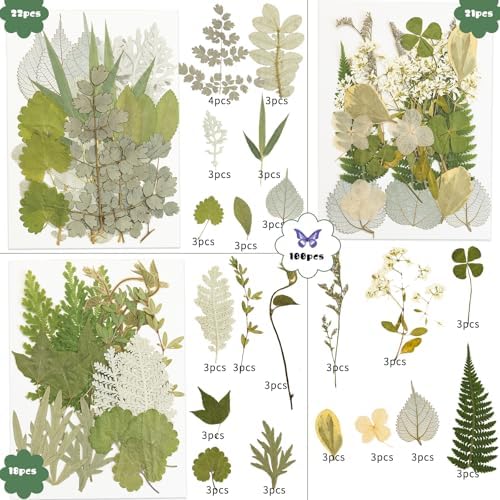 163 Pcs Dried Pressed Flowers for Resin Crafts, Real Natural Pressed Flowers and Leaves Kit Butterfly Stickers Vacuum Sealed Dry Flowers for DIY Epoxy Resin Jewelry Molds, Candle Soap Making, Nail Art