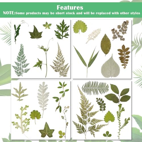 Timtin 84 Pcs Dried Pressed Leaves Flowers for Resin, Vivid