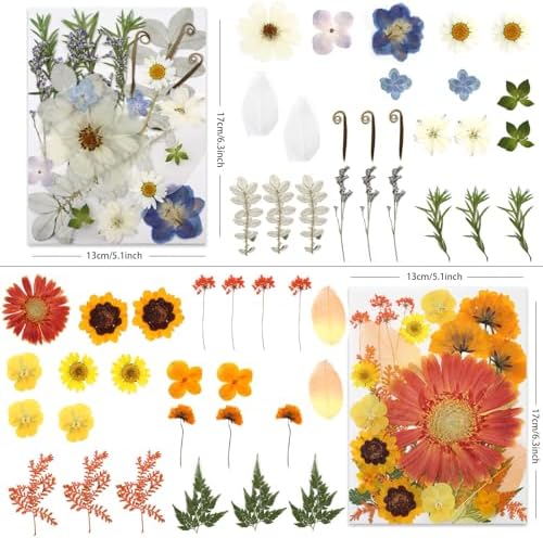 LUXEEASE 100P Vibrant Colors Large Dried Pressed Flowers | Gerbera daisy, real natural flowers, pink burgundy orange blue, for resin scrapbook jewelry frame decor, tweezers included