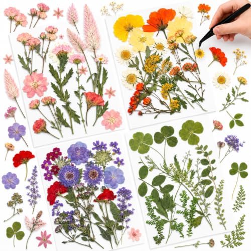 Nuanchu Real Dried Pressed Flowers Wildflower Stem for Resin Mold Craft DIY