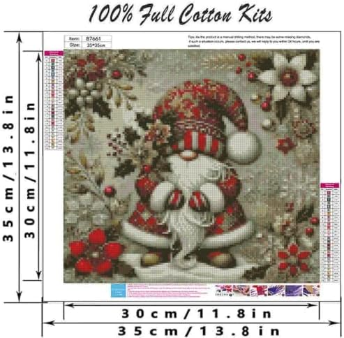 DYAIYYMQ Gnome Stamped Cross Stitch Kit for Adults 13.7x13.7 inches