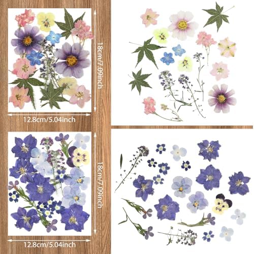 Nuanchu Natural Real Dried Pressed Flowers for Craft Resin DIY