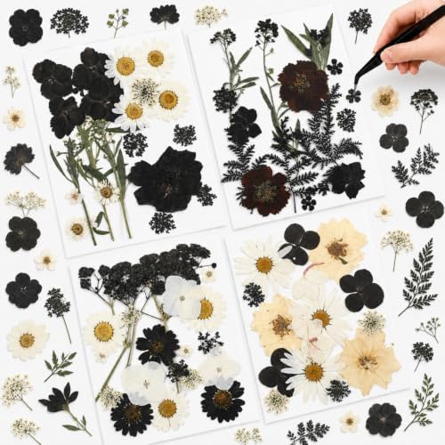 Nuanchu Black White Dried Pressed Flowers for Craft Resin, Gothic DIY Art