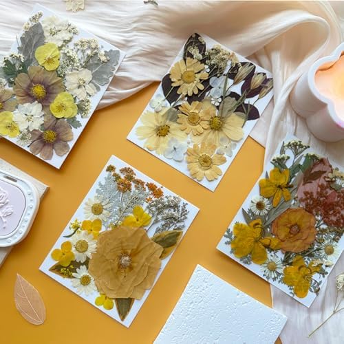 MIKIYA 90Pcs Dried Pressed Flowers for Resin Molds, Vintage White Bulk Real Natural Dry Floral for DIY Art Crafts, Epoxy Jewelry, Candle, Soap Making, Nails Decor, Phone Case