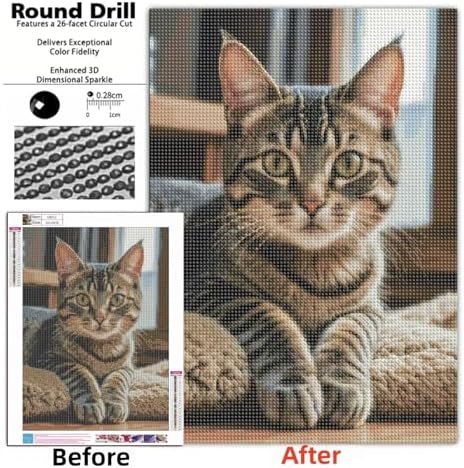 Cute Cat Diamond Art Kits for Adults, Full Drill DIY Diamond Painting Kits
