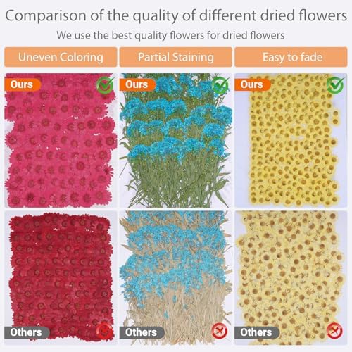 141Pcs Colorful Dried Pressed Flowers for Crafts,Xinxinran Dry Flowers Kit for Resin Molds,Epoxy Resin Accessories,Bookmark,Nails, Jewelry Molds,Candle Making Supplies,Soap,Frame(Mix Color)