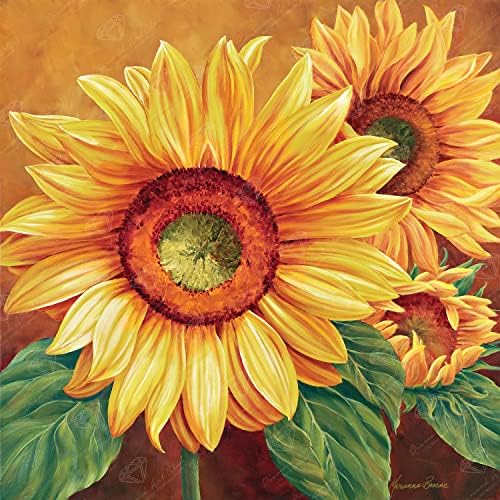 DIAMOND ART CLUB We are Sun Diamond Art Kits for Adults