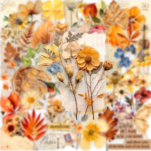 50PCS Transparent Flora Scrapbook Stickers, Flower-G | Vintage Aesthetic Flowers, Vinyl Waterproof, For Scrapbooks Travel Journal, For Water Bottles Laptop Phone