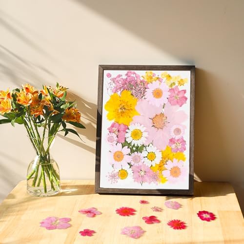 30Pcs Dried Pressed Flowers Bulk Dried Flowers for Crafts, Dry Flowers for Resin Molds DIY Scrapbooking Candle Jewellery Making (Pink)