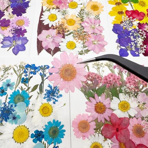 Cayway 170 PCS Dried Flowers for Resin, Real Nature Dried Pressed Flower Leaves for DIY Nail Art Cards Jewelry Making Epoxy Resin Molds Candle Accessories Floral Decors, Multicolor