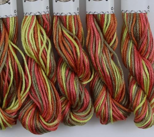 KCS Big skeins of 25 Meters Size 25 Color Variegated Cross Stitch Stranded Threads,6 skeins,4510