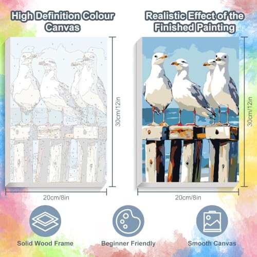 Kalonyth Seagull Framed Paint by Numbers Kit for Adults Beginner 8x12 inch