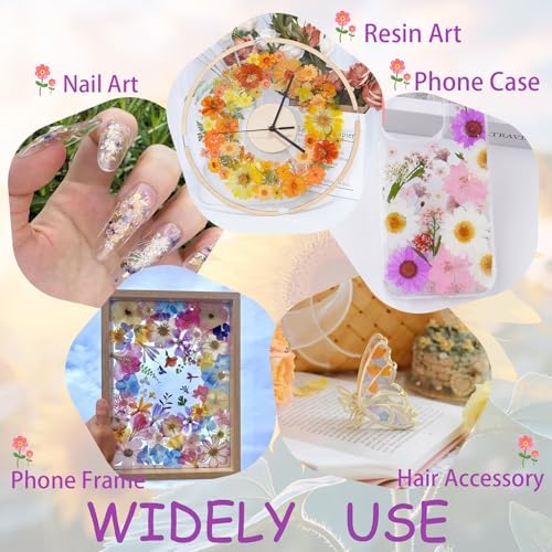 50Pcs White Dried Pressed Flowers for Crafts,Xinxinran Dry Flower Kit for Wedding Invitation,Epoxy Resin Accessories,Bookmark,Nails, Jewelry Molds,Candle Making Supplies,Soap,Frame