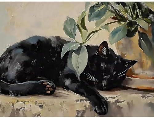 Canrichshop Sleeping Cat Paint by Number Kit for Adults,DIY Black Cat Acrylic Painting Kit Without Frame,Easy Adult Paint-by-Number Kits on Canvas Decor 16x20inch