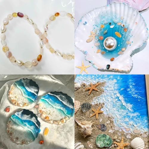 Fangoo 1500 Pieces Small Sea Shells Conch Natural Starfish Mixed Agate Pebble Stone for DIY Crafts Tiny Seashells for Vase Filler Candle Making Home Decor Wedding Beach Ocean Party Decorations