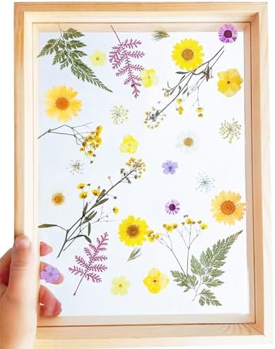 Cayway 4 Pack Pressed Flowers Natural Dried Flowers Colorful Resin Flowers Real Pressed Flowers for Resin Scrapbook DIY Art Crafts, Epoxy Resin Jewelry, Card Making Supplies, Style G