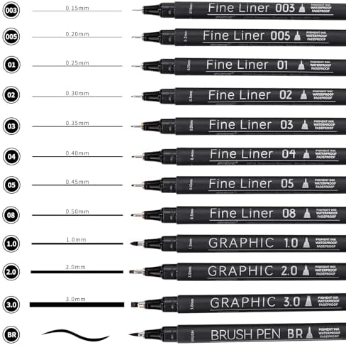 EYEYE Micro Fineliner Pens, Black Drawing Art Pens,12 Archival Pen Waterproof Ink Set Artist Supplies Archival Inking Markers Sketch Outline Pen, Precision Drawing and Sketching Kit