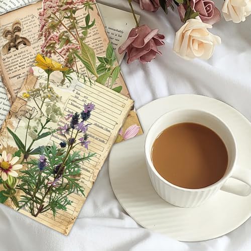 Bomichi 16 Sheets Scrapbook Paper, Vintage Decorative Scrapbook Supplies for Junk Journal Card Making Picture Art Collage DIY 4.1x5.8 inches, Plants theme