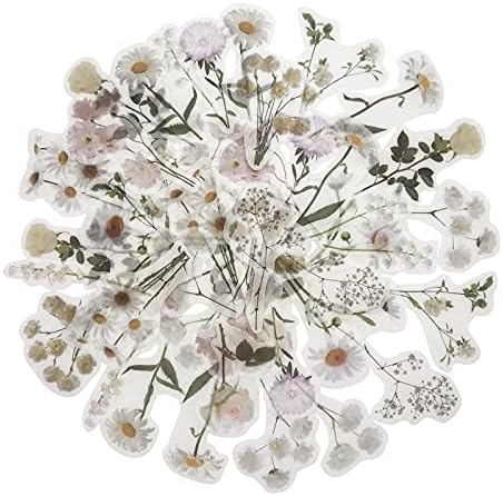 Vintage Natural Stickers, 45Pcs Daisy Vinyl Decorative Retro Adhesive Watercolor Aesthetic Trendy for Scrapbook Album DIY Craft Daily Planner