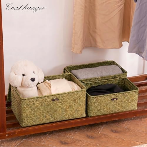 Nonam Seagrass Storage Basket with Lid, Set of 3, Dark Moss Green