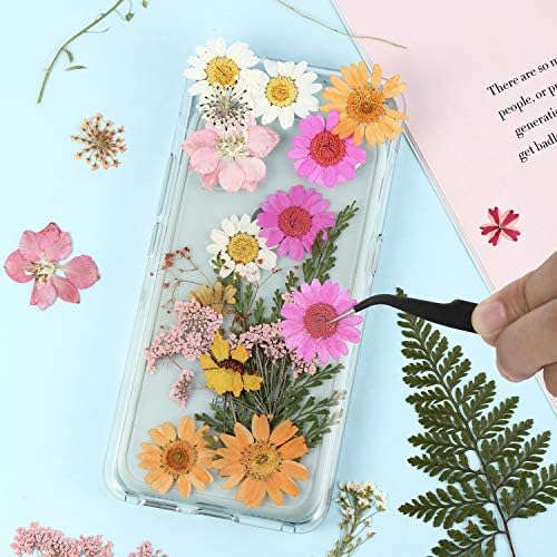 Nuanchu Natural Dried Pressed Flowers for Craft Resin