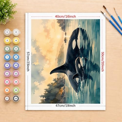 ENTORLAB Marine Wildlife Digital Painting Kit for Adults - DIY Orca Whale Family Oil Painting on Canvas 16x20 Inches, Acrylic Paint Kit, Good for Beginners, Coastal Home Decor or Gift Artwork