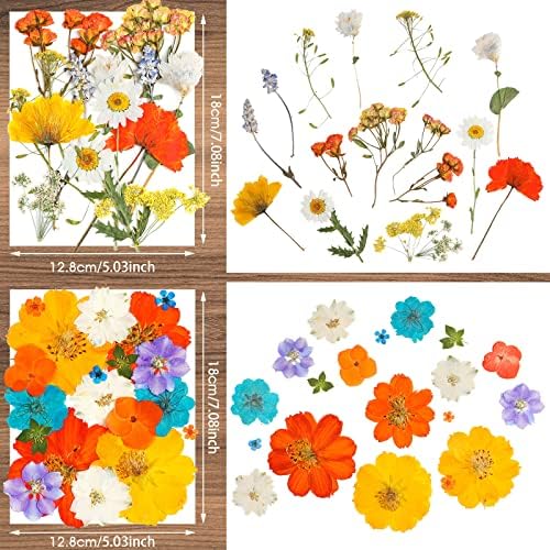Nuanchu Dried Pressed Flowers for Resin,Elegant Style,Bright Colors