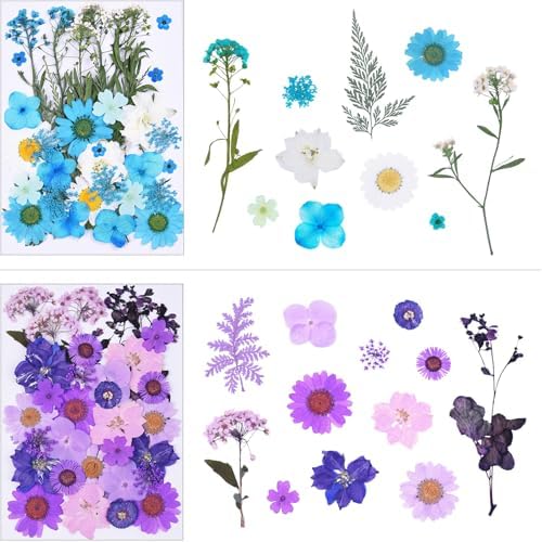 146Pcs Dried Pressed Flowers for Crafts,Xinxinran Dry Flowers Kit for Resin Molds,Epoxy Resin Accessories,Bookmark,Nails, Jewelry Molds,Candle Making Supplies,Soap,Frame(Colorful)