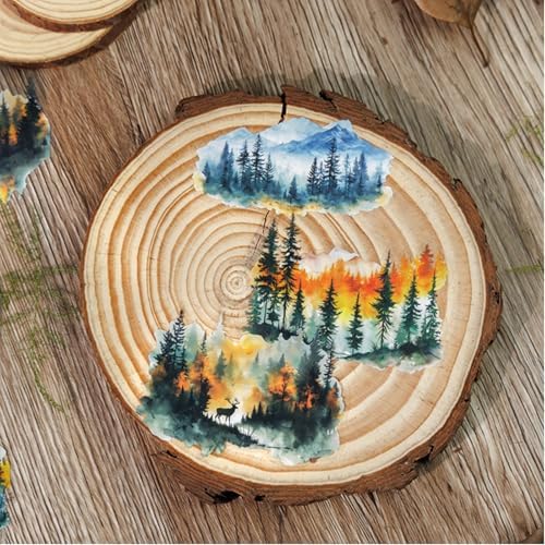 40 Pcs Aesthetic Nature Landscape Stickers for Junk Journaling