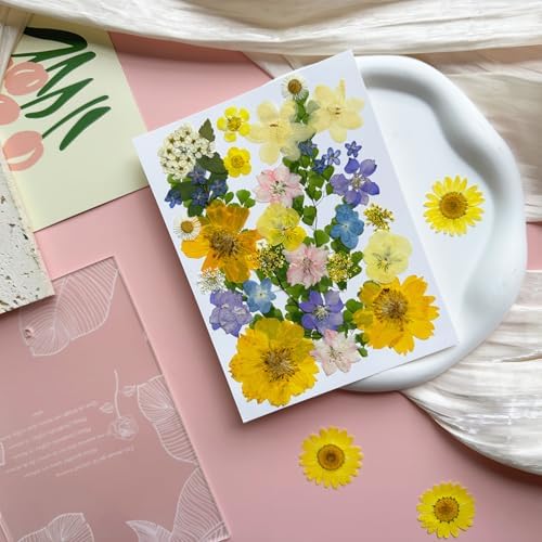 MIKIYA 34Pcs Pressed Dried Flowers for Resin, Assorted Real Natural Bulk Dry Leaves for DIY Art Crafts, Epoxy Molds, Jewelry, Soap, Candle Making, Nails Decors