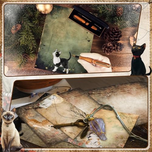 TaoBary 160 Pcs Kitten Stationery Paper and Envelopes Set, 8.5 x 11''
