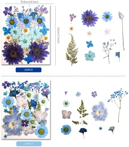 100 PCS Blue Pressed Dried Flowers and Leaves with Tweezers | Natural Dried Flowers, For Resin, Candle, Jewelry, Scrapbooking & DIY Crafts