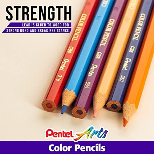 Pentel Arts Colored Pencils, Assorted Colors, Set of 24 (Pack of 2)