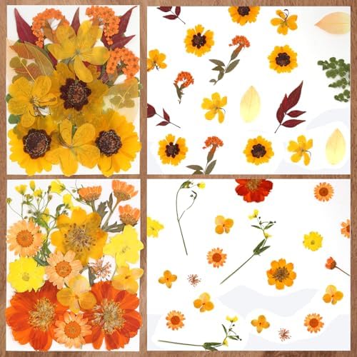 Dried Flowers 68Pcs Fall Pressed Flower with Tweezer for Crafts