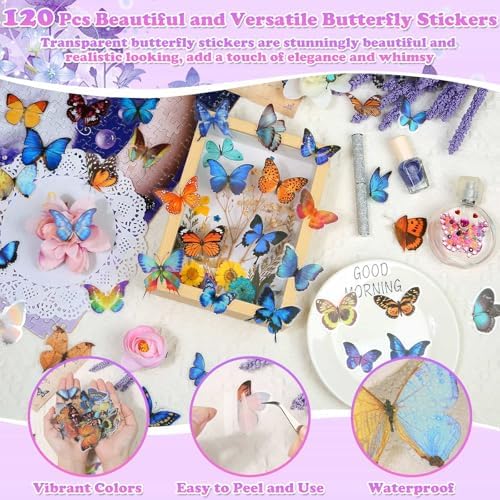 300 Pcs Real Dried Pressed Flowers & Butterfly Stickers for Resin Crafts