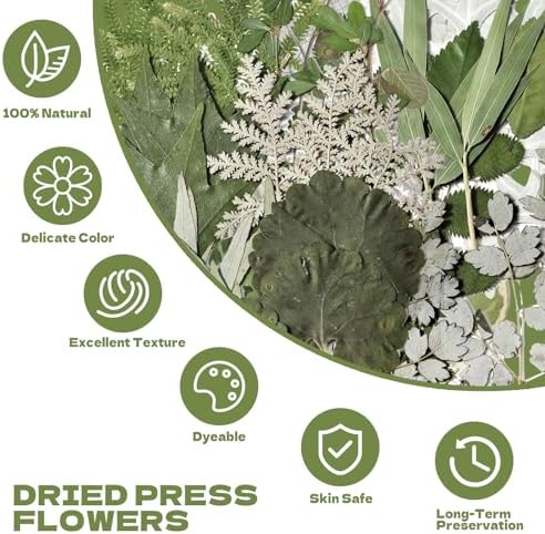 63 Pcs Pressed Leaves, 21 Styles Dried Flowers for Resin