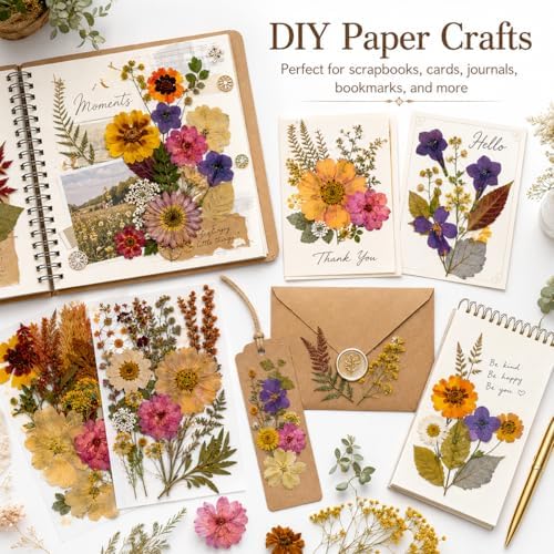 163 pcs Dried Flowers for Resin, Natural Flowers and Leaves Kit with Butterfly Stickers， Vacuum Sealed DIY Pressed Flowers for Jewelry Molds, Candle Soap Making, Scrapbook, Nail Art (Colorful-F)