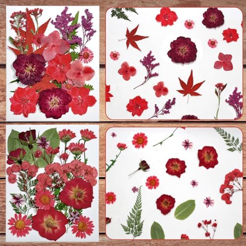 Dried Flowers for Resin Vacuum Packed DIY Pressed Flowers