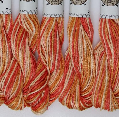 KCS Big skeins of 25 Meters Size 25 Color Variegated Cross Stitch Stranded Threads,6 skeins,4120