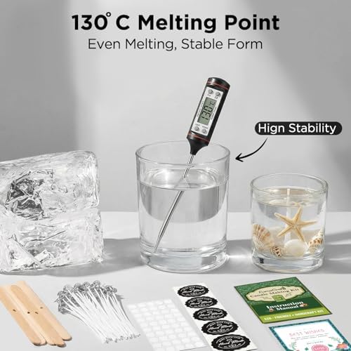 Clear Gel Wax for Candle Making - 1.1LB (500g) Transparent Jelly Candle Wax with Wicks, Wick Stickers & Holders - Non-Toxic, Unscented DIY Gel Wax for Beginners & Crafters