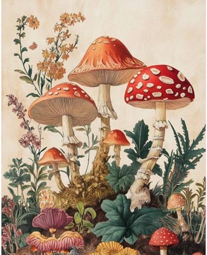 Dawnsphere Mushroom Paint by Numbers Kit for Adults Without Frame 16x20 in