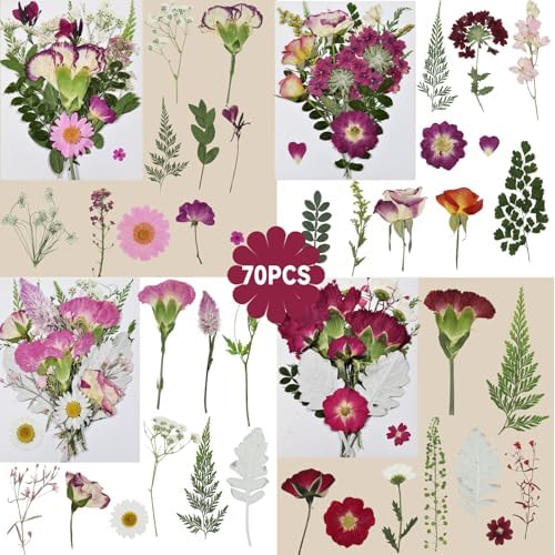 Dried Pressed Flowers for Resin