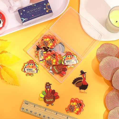 SUNNYCLUE 1 Box 16Pcs 4 Styles Thanksgiving Turkey Charms Fall Pumpkin Charm Bulk Pumpkin Chicken Holiday Food Harvest Cartoon Acrylic Charm for Jewelry Making Charms DIY Bracelet Necklace Crafts