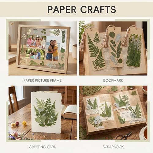 LUXEEASE 84P Dried Pressed Leaves, Earthy Green | Fern eucalyptus leaves, varied leaf shapes, wild forest texture, for resin scrapbook botanical decor, tweezers included
