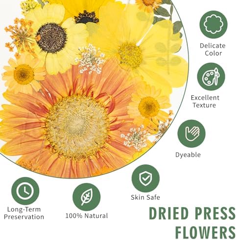186 Pcs Dried Pressed Flowers for Resin Crafts, Real Natural Pressed Flowers and Leaves Kit Butterfly Stickers Vacuum Sealed Dry Flowers for DIY Epoxy Resin Jewelry Molds, Candle Soap Making, Nail Art