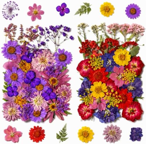 70 pcs Dried Flowers for Resin, Natural Flowers and Leaves Kit with Tweezers， Vacuum Sealed DIY Pressed Flowers for Jewelry Molds, Candle Soap Making, Scrapbook, Nail Art (Colorful-C)