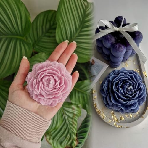 2 Pack 3.14 inch Peony Candle Molds Set - Large & Medium 2.55inch Silicone Mold for Soap Candle Making, 3D Flower Reusable Silicone Molds(Peony 2 Pack)
